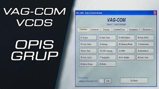 Opis grup parametrów w programach VCDS / VAG-COM