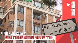 樓盤傳真｜中產入場首選？進駐九龍塘罕有低密度住宅區｜入屋睇樓｜有線新聞