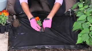 How to Use Weed-Suppressing Fabric : The Chef's Garden