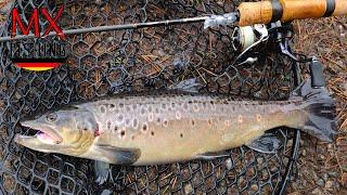 Bachforellen Apokalypse!!!/ Forellen fischen mit Kunstködern/ Trout Area