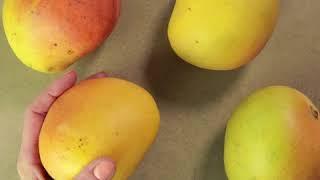 Minute Masterclass: Mangoes