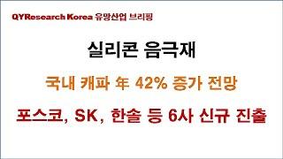 실리콘음극재, 2023년 양산체제 돌입 - 대주전자재료 + 포스코, SK, 한솔케미칼, 엠케이전자 등 6사 신규 진출