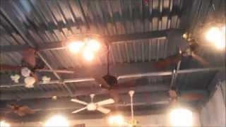 Video Tour of the Fanimation Ceiling Fan Co (FULL TOUR INCLUDING FAN MUSEUM IN HD)