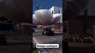 Навруз аййоми муборак булсин #видео #trend #навруз #navruz #trend #узбекистан #uzbekistan #тренд#uzb