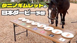 ダービー馬のタニノギムレットさんに日本ダービーの本命を聞いてみた