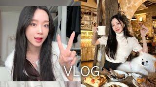 [VLOG] hanna's daily life ｜restaurant tour｜birthday party ｜blind installation｜shopping mall owner