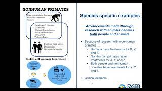 FASEB Launches New Animal Research Fact Sheets