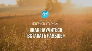 Полезности от Сей-Хай: «Как Научиться Вставать Раньше»