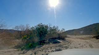 Anza Borrego, Coyote Canyon