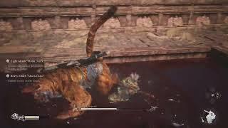 Souls Pro Plays Wukong : Tiger Vanguard