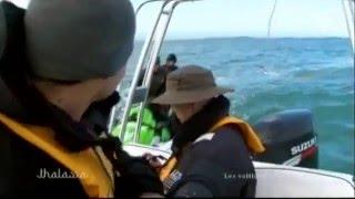 Tow in surfing - la Torche, Bretagne