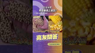 日本米荒亮哥曝真正原因？#shorts @funseeTW @Guovision-TV