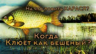 РЫБАЛКА НА КАРАСЯ|НА ЧТО ЛОВИТЬ?|КАК ПОЙМАТЬ КАРАСЯ?|ЛОВЛЯ КАРАСЯ.
