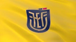 Flag of the Ecuadorian Football Federation - FEF