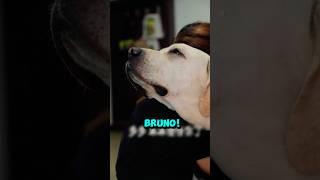 Bruno's Brother Got Kicked Out! 