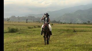 BUKIDNON ️ Communal Ranch - solo travel Northern Mindanao