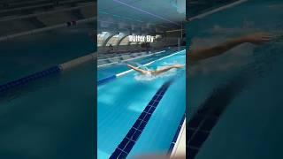 탐나는 이포스의 접영 (feat. 더포스 수영) #swimming #수영 #접영