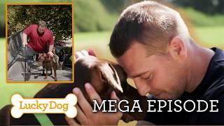 Meet the Service Dogs Who Changed Lives Forever | Lucky Dog Episode Marathon