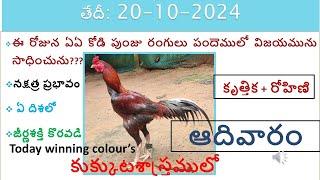 20 oct 24 today winning colours / Today winning colours /vision of kukkuta sastram in colours update