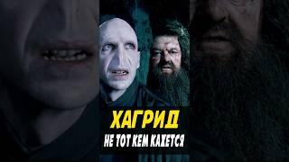 Хагрид агент Волан-де-Морта? #гаррипоттер #кино #harrypotter #поместьесурикат #хагрид #воландеморт