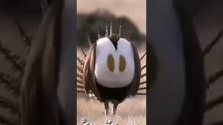 ٧ فبراير ٢٠٢٣(4)