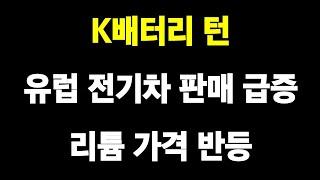 유럽 전기차 판매 급증, 리튬 가격 반등 시작, 테슬라 풀 SUV