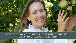 How To Bring A Garden To Life: Planting, Pruning & Harvesting (Garden Tour & Tips)