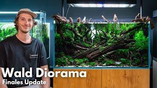 Finales Update vom Wald Diorama Aquarium - IAPLC 2024 Platz 24