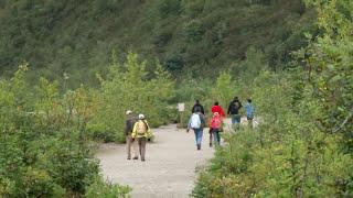 Mendenhall Glacier & Gardens | Shore Excursion | NCL