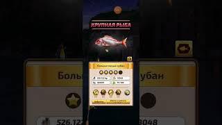 Let's Fish. Европа. Матвеевский ручей #2