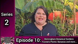 S2 E10: Freya's Tropical Garden Birmingham Botanical Gardens, Yvonnes Plants: Bananas and more