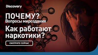 Как работают наркотики | Почему? Вопросы мироздания | Discovery