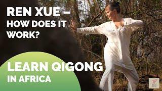 What is REN XUE and Yuan Qigong? | Wisdom system REN XUE explained