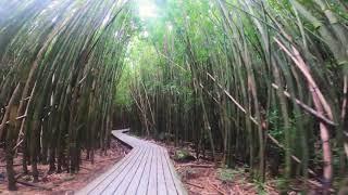 Hiking down from Makahiku Falls to the Pools of ‘Ohe’o in Maui