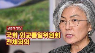 [생중계영상] 5월 17일 국회 외교통일위원회 전체회의