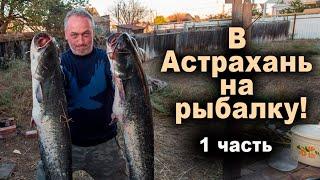 В Астрахань на рыбалку! Часть1.