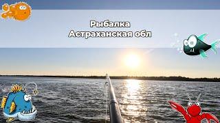 Рыбалка на Волге. Астраханская область. Осень 2023