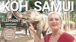 What to do on Koh Samui during your holiday? Elephant Sanctuary