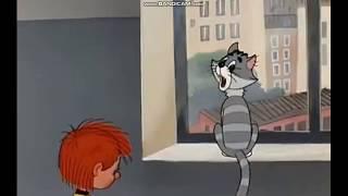 Философ-кот