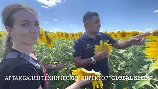 Гибриды подсолнечника от Агро Партнера