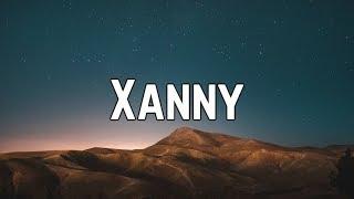 Billie Eilish - Xanny (Lyrics)