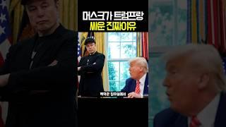 머스크랑 트럼프랑 싸우는 이유 #머스크 #트럼프 #테슬라