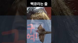 뻐꾸기 폴더 #기묘한이야기 #웃찾사