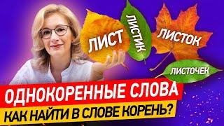 Что такое корень слова и как его найти? Однокоренные слова в русском языке