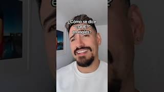 Aprende a hacer preguntas básicas en inglés ️