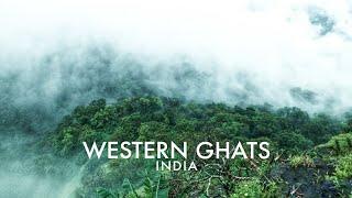 Hiking the Western Ghats of India | Sahyadri Mountain Range |  The EastIndian Trekker