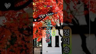 정의송 인도의 향불