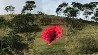 Vulva-esque sculpture in Brazil causes controversy