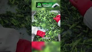 НЕ ЕШЬТЕ ЗАМОРОЖЕННЫЕ ОВОЩИ 