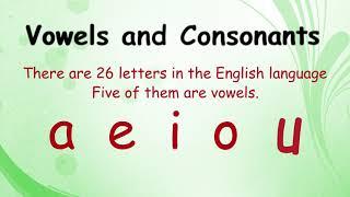 Vowels and Consonants | English Kindergarten | Albakio International